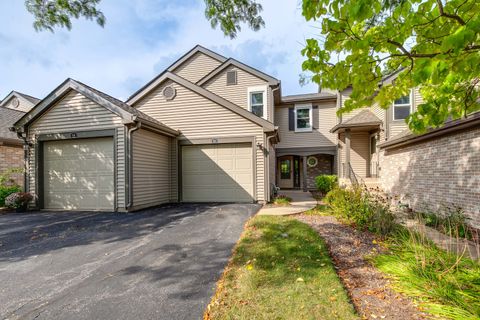 989 BUTTER CREEK Court 989 Hoffman Estates IL 60169