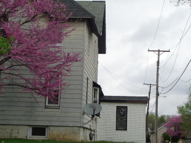 308 Genoa Street