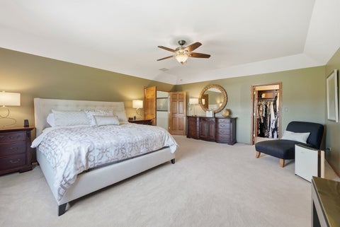 Tiny photo for 22050 Coriander Lane, Frankfort, IL 60423 (MLS # 12770806)