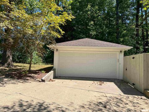 Tiny photo for 8994 Old Highway 13 Highway, Murphysboro, IL 62966 (MLS # EB459484)