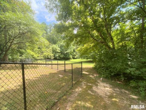 Tiny photo for 8994 Old Highway 13 Highway, Murphysboro, IL 62966 (MLS # EB459484)