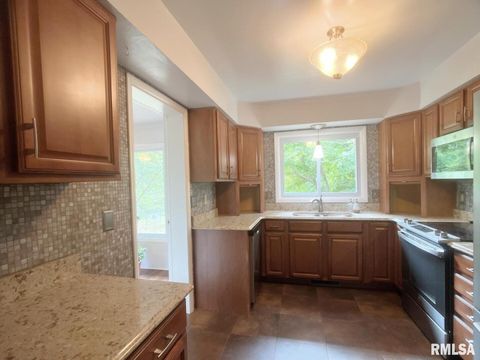 Tiny photo for 8994 Old Highway 13 Highway, Murphysboro, IL 62966 (MLS # EB459484)