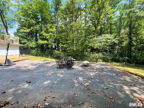 Tiny photo for 8994 Old Highway 13 Highway, Murphysboro, IL 62966 (MLS # EB459484)