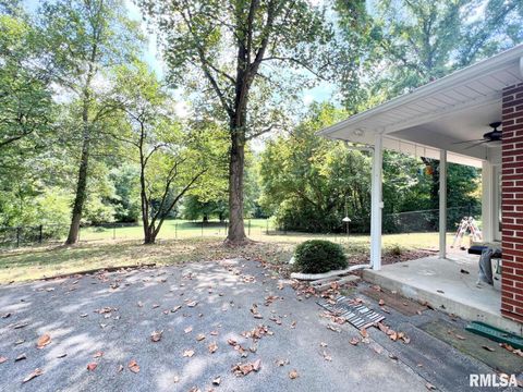 Tiny photo for 8994 Old Highway 13 Highway, Murphysboro, IL 62966 (MLS # EB459484)