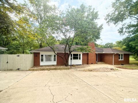 Tiny photo for 8994 Old Highway 13 Highway, Murphysboro, IL 62966 (MLS # EB459484)