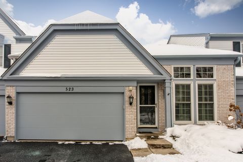 Photo of 523 Orleans Avenue, Naperville, IL 60565 (MLS # 12526460)