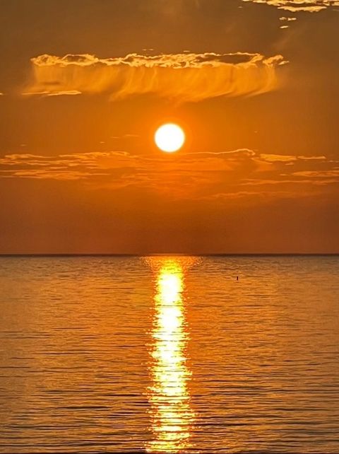 Tiny photo for 6033 N Sheridan Road #34M, Chicago, IL 60660 (MLS # 12577809)