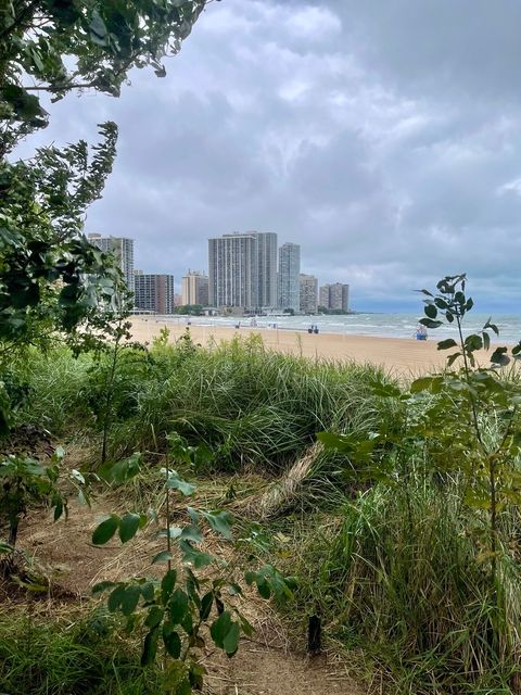 Tiny photo for 6033 N Sheridan Road #34M, Chicago, IL 60660 (MLS # 12577809)