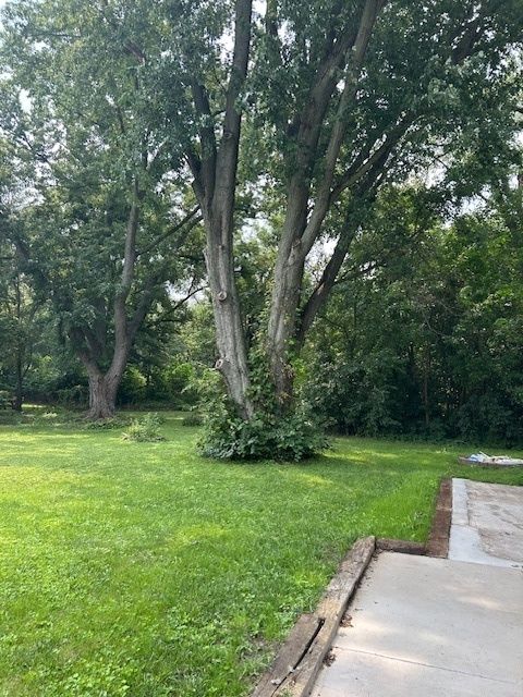 Tiny photo for 1028 Catalpa Street, Marseilles, IL 61341 (MLS # 12436160)