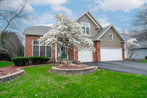 2008 Snow Creek Road Naperville IL 60564