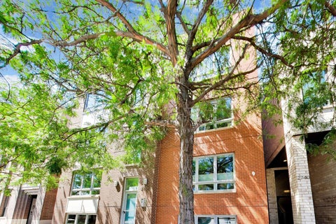 Photo of 2736 N Ashland Avenue #2S, Chicago, IL 60614 (MLS # 12735715)