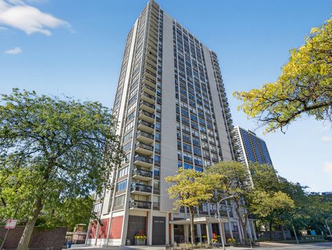 1455 N Sandburg Terrace 2403 Chicago IL 60610