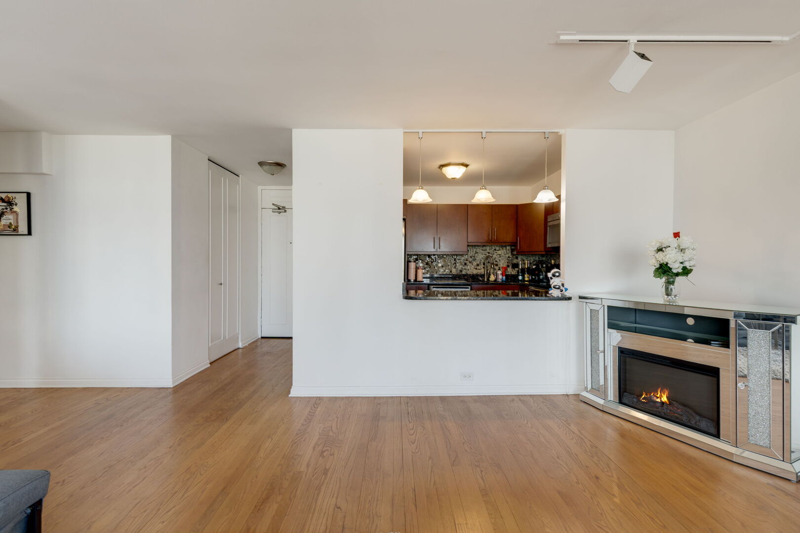 1560 N Sandburg Terrace 1908J