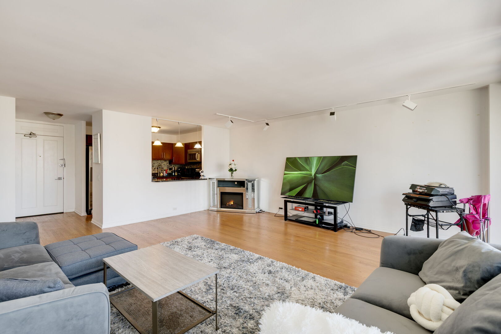 1560 N Sandburg Terrace 1908J