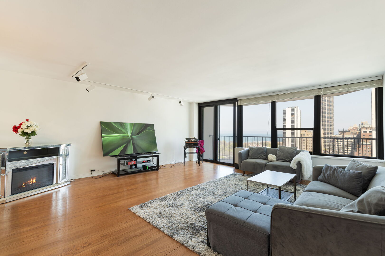 1560 N Sandburg Terrace 1908J