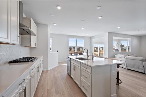 Tiny photo for Kildeer, IL 60047 (MLS # 12585620)