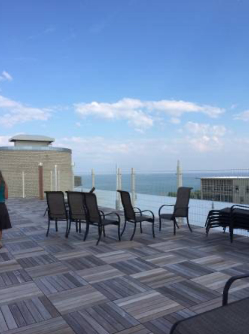 3950 N Lake Shore Drive 1428