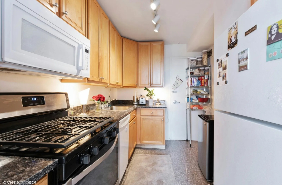 3950 N Lake Shore Drive 1428