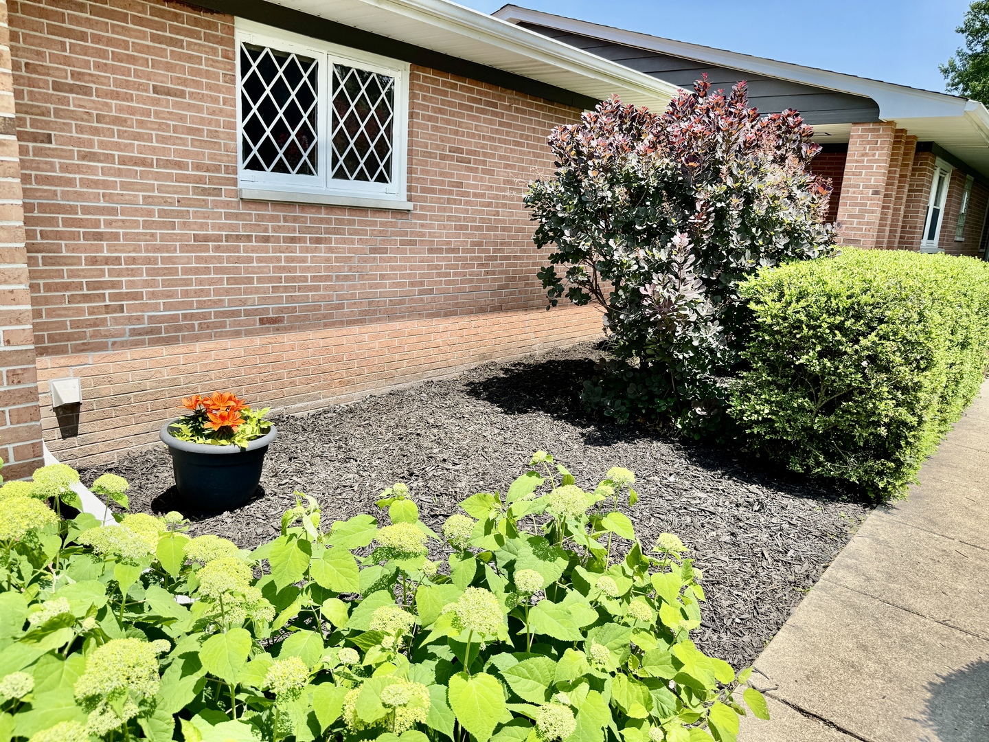 221 Thornbrook Road