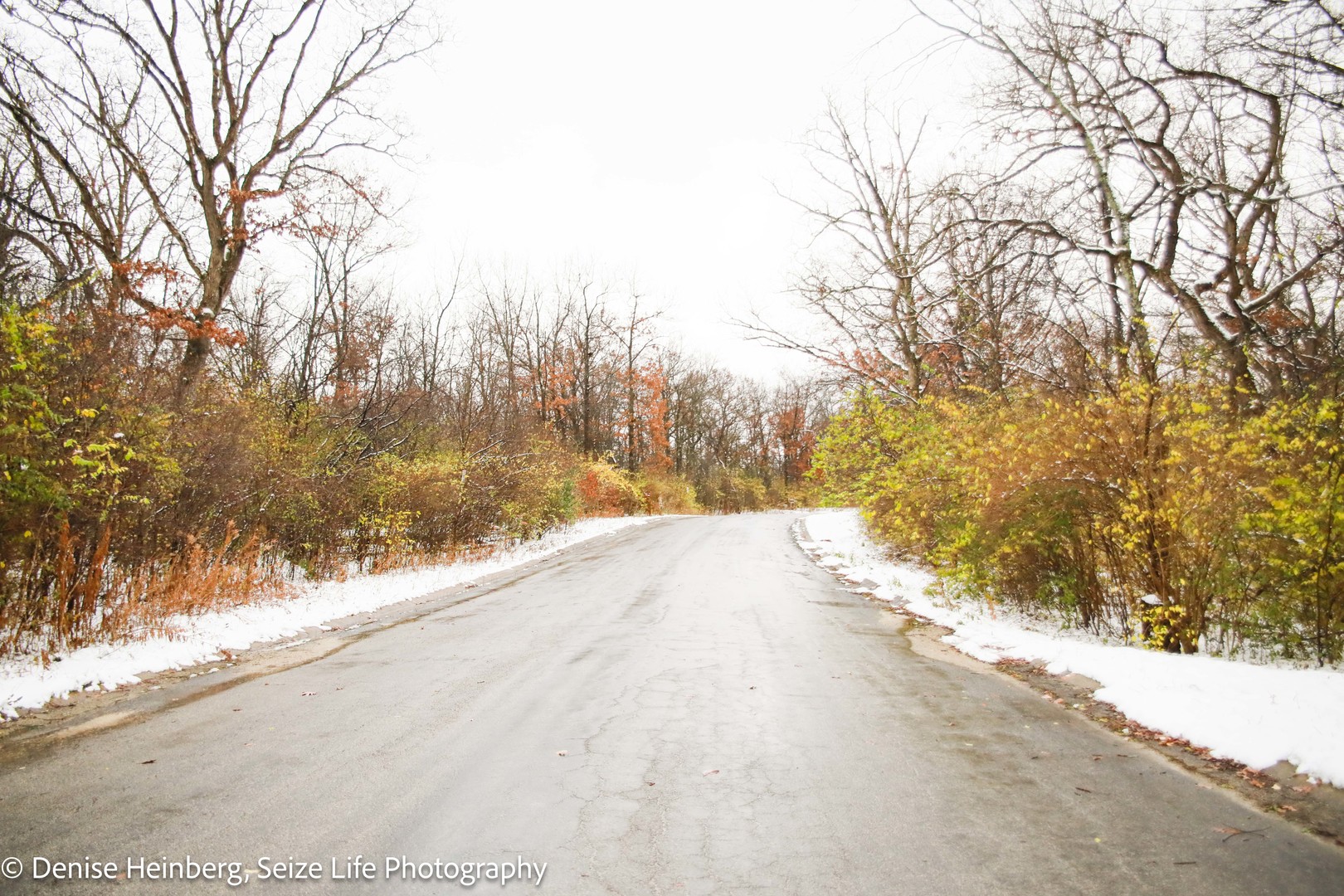 802 Echo (Lot 23) Trail