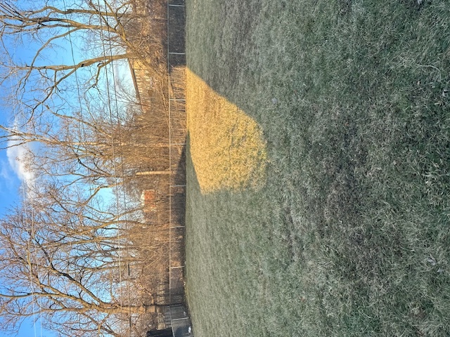 920 Valley Stream Drive