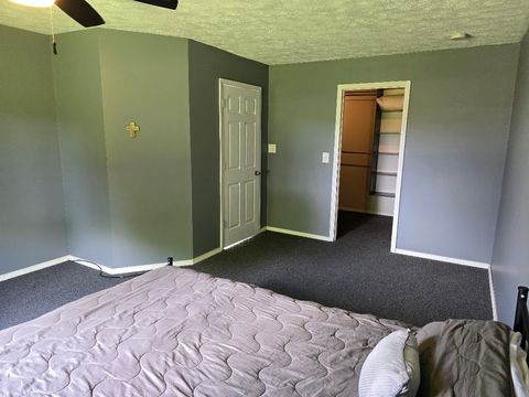 Tiny photo for 320 N Pearl Street, Forrest, IL 61741 (MLS # 12451311)
