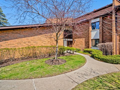 1039 Deerfield Place 1039 Highland Park IL 60035