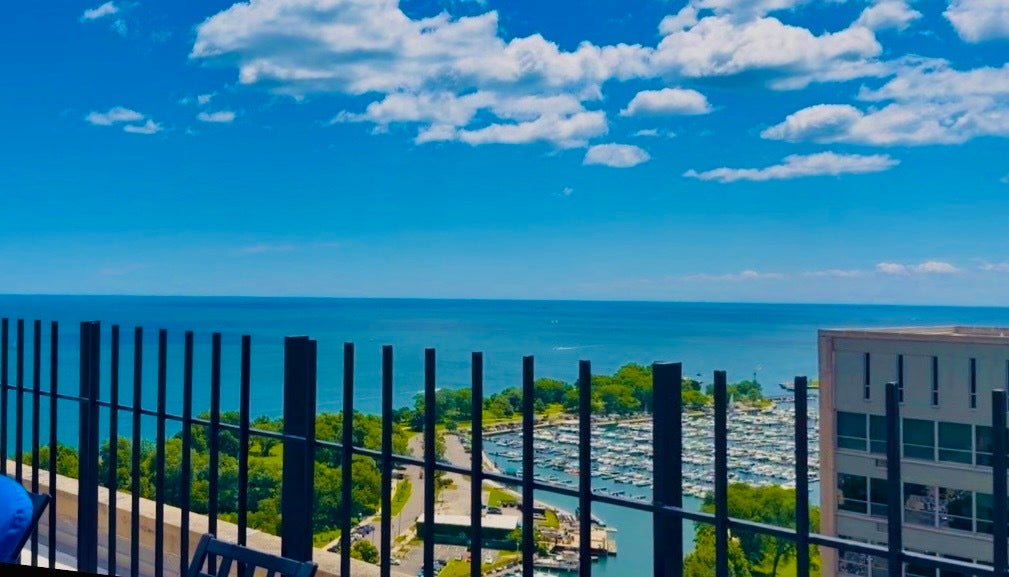 3550 N Lake Shore Drive 1117