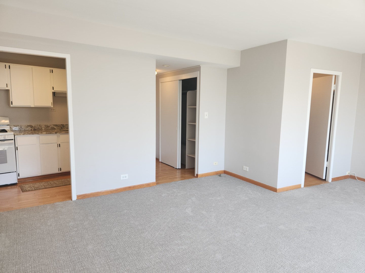 1150 N LAKE SHORE Drive 21J