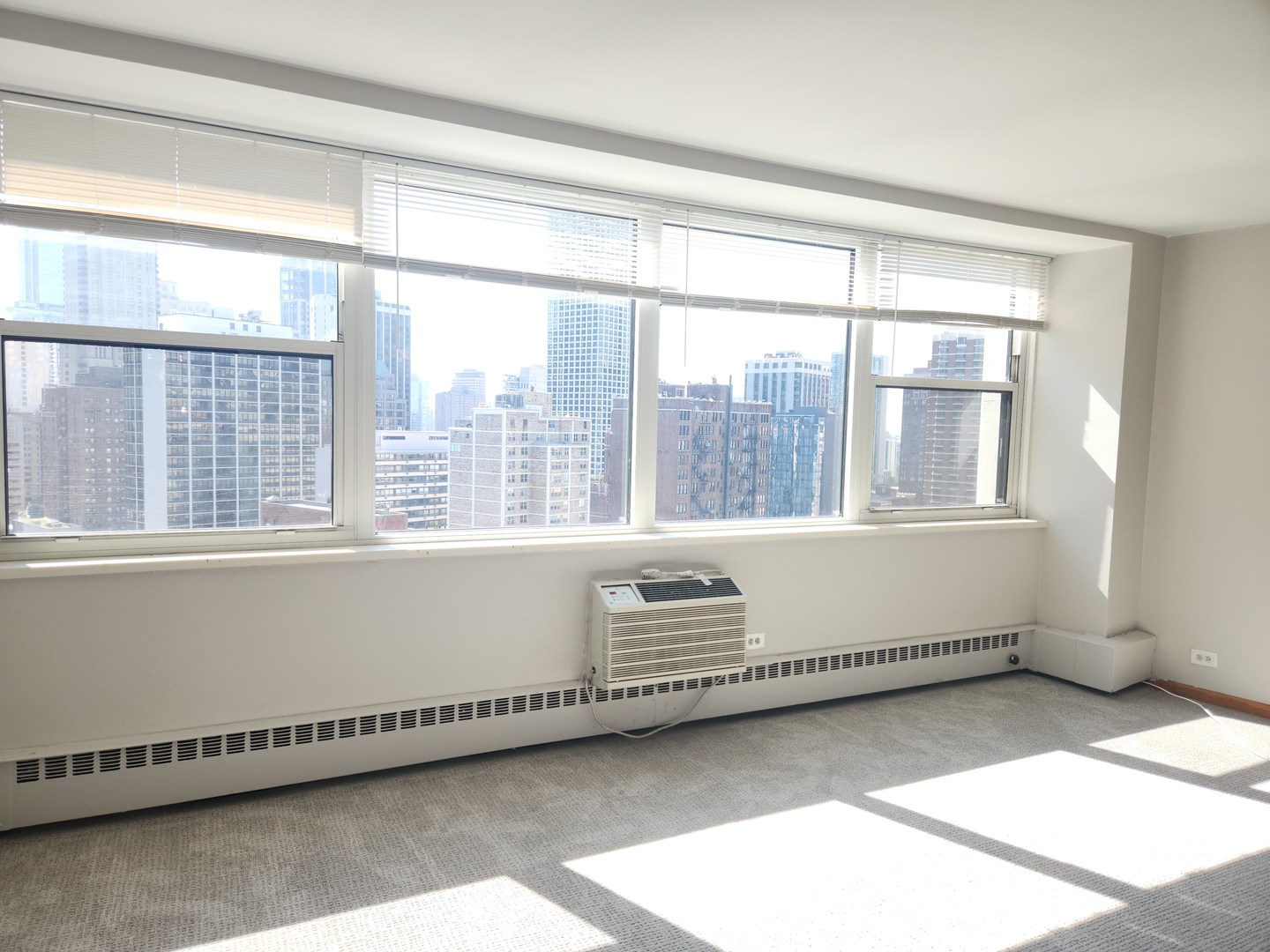 1150 N LAKE SHORE Drive 21J