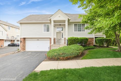 3330 CAMERON Drive 17-1 Elgin IL 60124