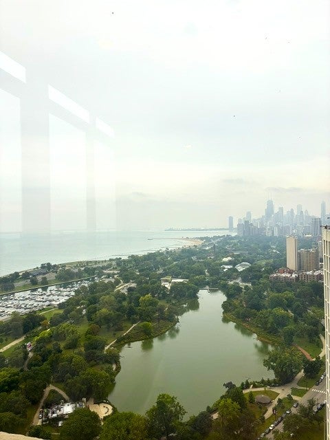 Tiny photo for 2650 N LAKEVIEW Avenue #3103, Chicago, IL 60614 (MLS # 12758209)