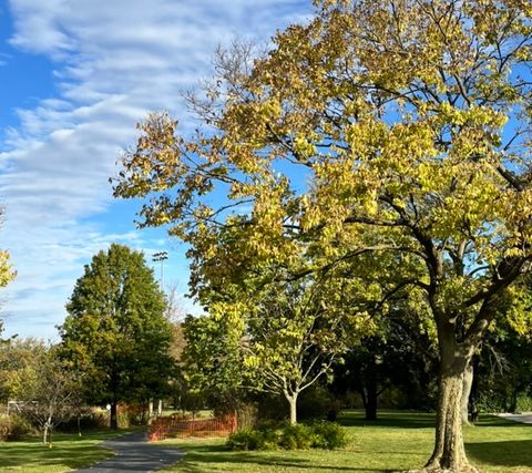 Tiny photo for 387 Bristol Street, Northfield, IL 60093 (MLS # 12506503)