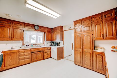 Tiny photo for 905 S 4th Street, Watseka, IL 60970 (MLS # 12464772)