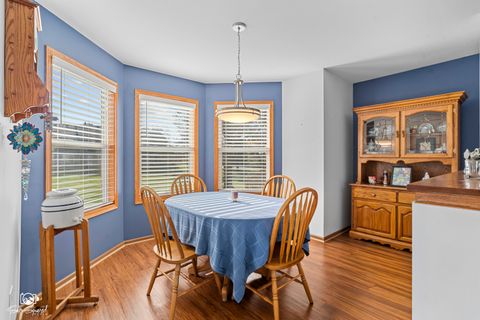 Tiny photo for 4220 Whitetail Court, Joliet, IL 60431 (MLS # 12518962)