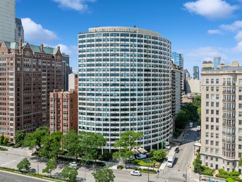 1150 N Lake Shore Drive 19A Chicago IL 60611