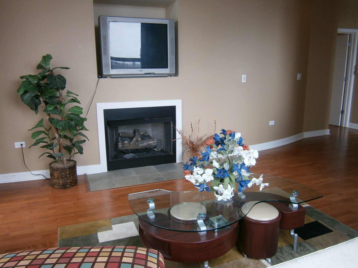 1305 S Michigan Avenue 805