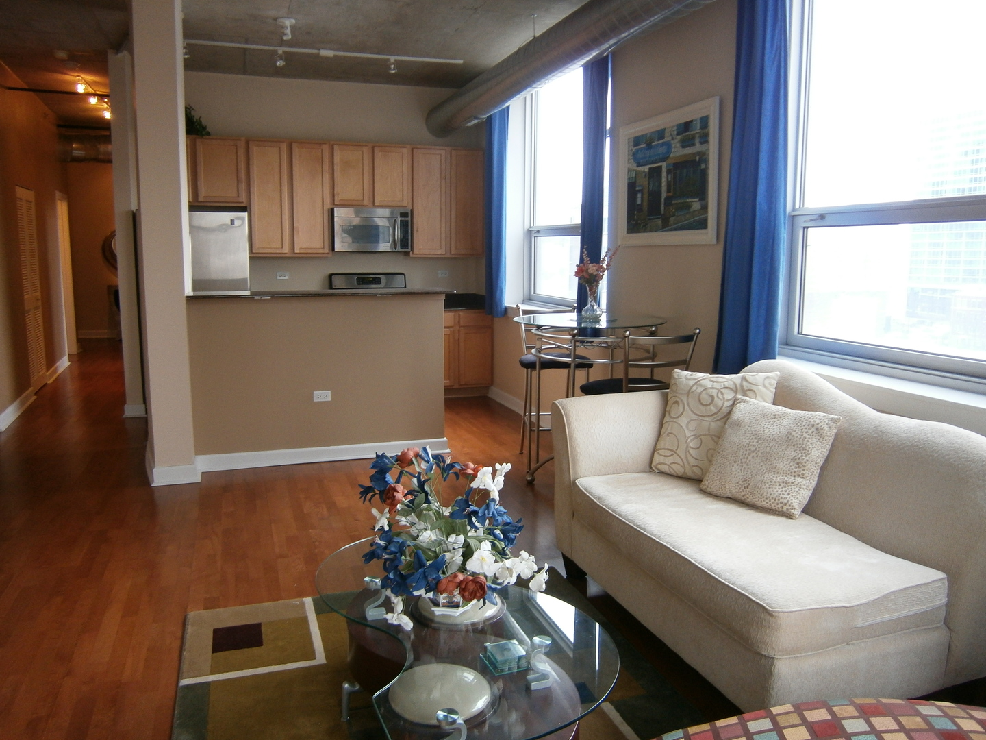 1305 S Michigan Avenue 805