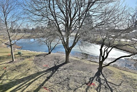 Tiny photo for 745 WHALOM Lane #745, Schaumburg, IL 60173 (MLS # 12572688)