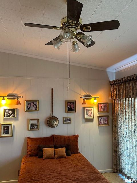 Tiny photo for 944 S LAKE Drive, Duquoin, IL 62832 (MLS # EB460489)