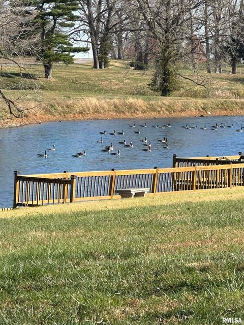 Tiny photo for 944 S LAKE Drive, Duquoin, IL 62832 (MLS # EB460489)