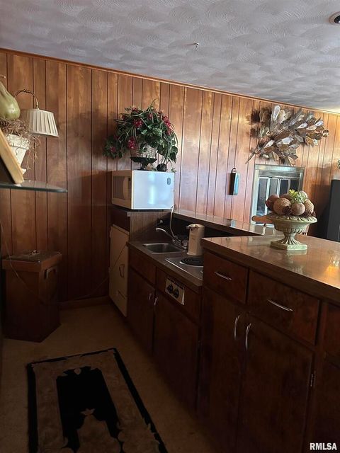 Tiny photo for 944 S LAKE Drive, Duquoin, IL 62832 (MLS # EB460489)