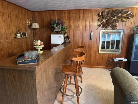 Tiny photo for 944 S LAKE Drive, Duquoin, IL 62832 (MLS # EB460489)