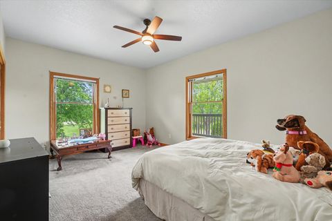 Tiny photo for 724 E Hilvety Road, Moweaqua, IL 62550 (MLS # 12634260)