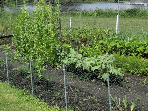 Tiny photo for 7105 Saint Tropez Court #297, Fox Lake, IL 60020 (MLS # 12568446)