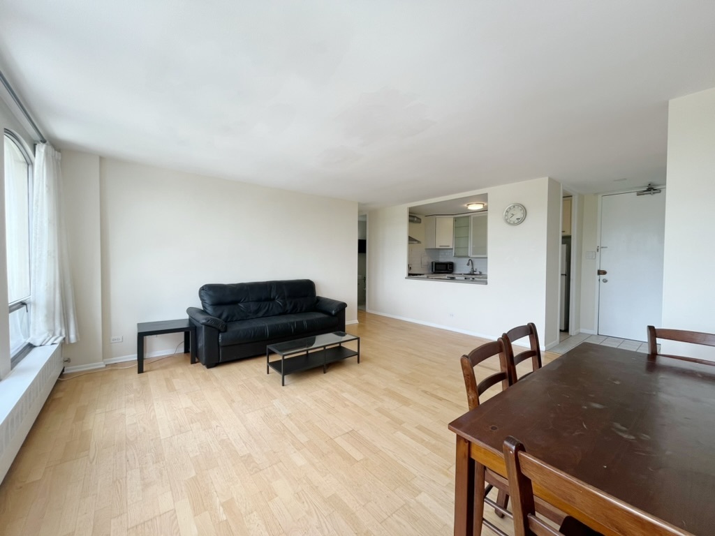 1401 E 55TH Street 815N