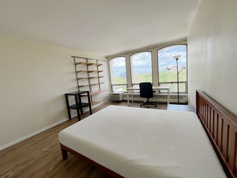 Tiny photo for 1401 E 55TH Street #815N, Chicago, IL 60615 (MLS # 12581445)