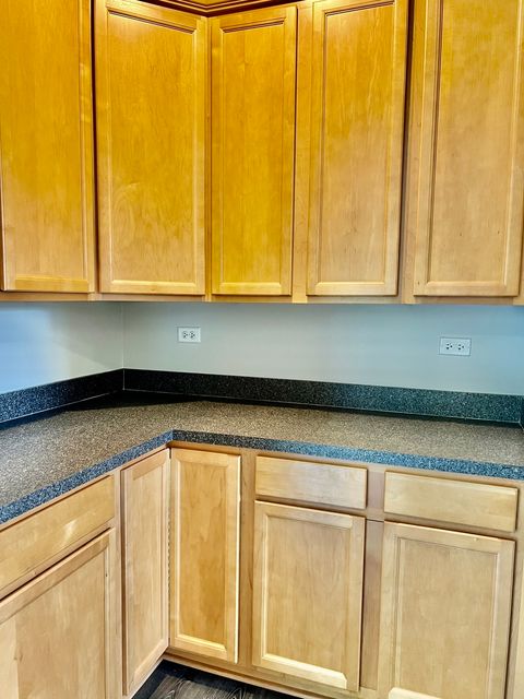 Tiny photo for Elgin, IL 60124 (MLS # 12553449)