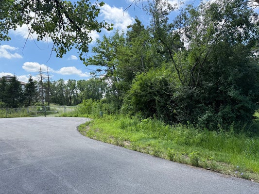 8625 MEADOWBROOK DR, BURR RIDGE, IL 60527 - Image fbf70353393764cd288e7762b37e2a3c/2409436982