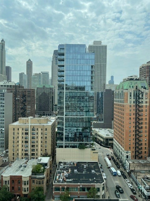 Tiny photo for 1 E Scott Street #2007, Chicago, IL 60610 (MLS # 12724173)